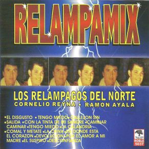 Download track Devolucion Los Relampagos Del Norte