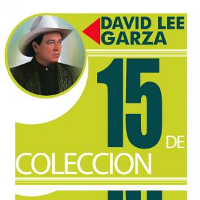 Download track Cuantas Veces David Lee Garza