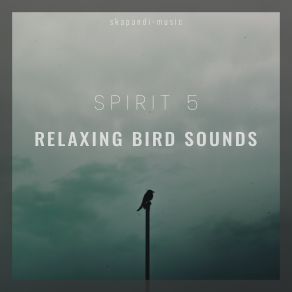 Download track Healing Bird Songs Spirit 5