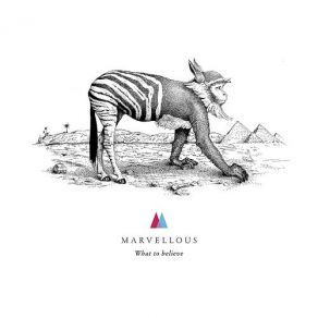 Download track What To Believe Marvellous