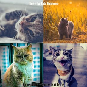 Download track Music (Nice) Music For Cats AmbienceThe Nice