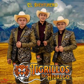 Download track El Aguanieve Tigrillos De Hidalgo