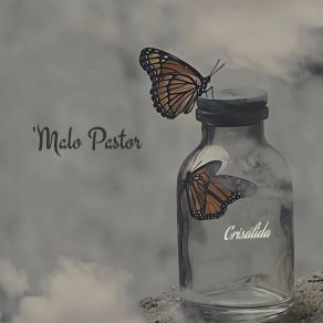 Download track Crisálida Malo Pastor