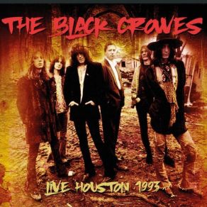 Download track Sting Me (Live) The Black Crowes