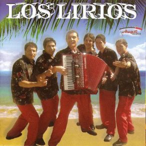 Download track Enganchados Cumbias Del Recuerdo Los Lirios De Santa Fe