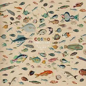 Download track Wriggle Cosmo Sheldrake