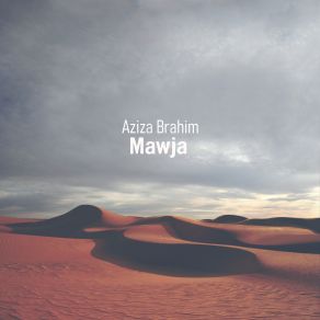 Download track Metal, Madera Aziza Brahim