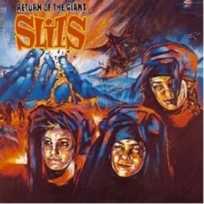 Download track Or What It Is? The Slits