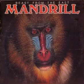 Download track Ratchet (Como Se Va La Cosa) Mandrill