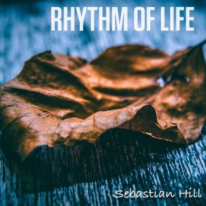 Download track Pieces Of Life Sebastian Hill