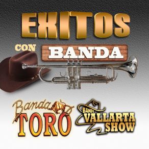 Download track El Remedio Banda Vallarta Show