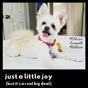 Download track Just A Little Joy (But It's A Real Big Deal) William Russell Wallace