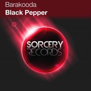 Download track Black Pepper (Original Mix) Barakooda