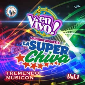 Download track Chivamix De Cumbia 2: Cómo Te Voy A Olvidar / Que Levante La Mano / Un Sueño / 17 Años (En Vivo) Marimba Orquesta La Super Chiva