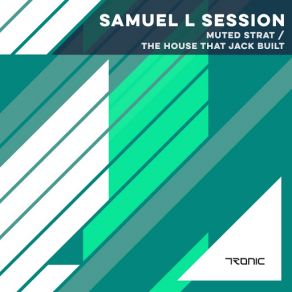 Download track Muted Strat (Original Mix) Samuel L. Session