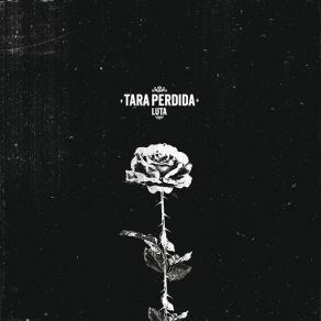 Download track Luta Tara Perdida