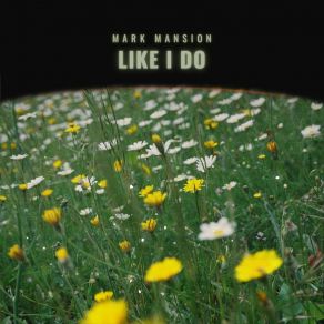 Download track Like I Do (Radio Edit) Mark Mansion