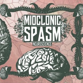 Download track Synapse Mioclonic Spasm