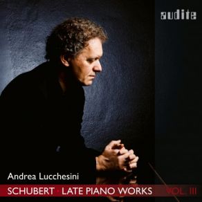 Download track Piano Sonata No. 18 In G Major, D. 894 'Fantasia': II. Andante Andrea Lucchesini