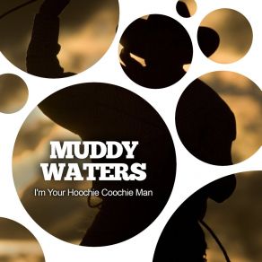 Download track They Call Me Muddy Waters Muddy Waters