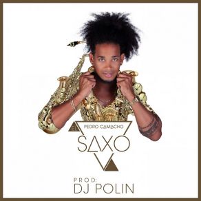 Download track El Saxo (Dembow) DJ Polin, Nico Clinico, Pedro Camacho