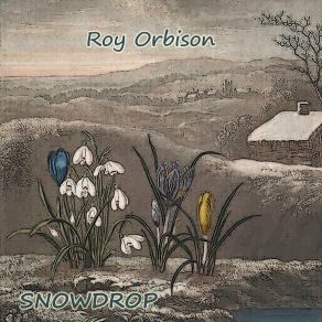 Download track I'll Say It's My Fault Roy Orbison