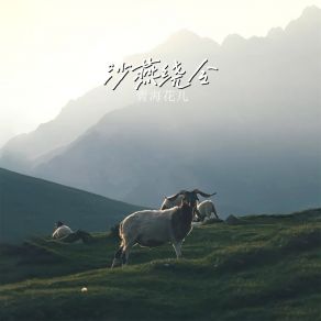 Download track 铁青骡子大红马 (占龙版) 青海花儿