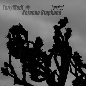 Download track A Wonderful Walk (2017 Remaster) TonyModi