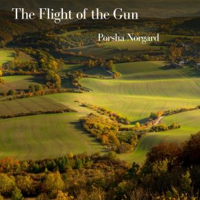 Download track The Flight Of The Gun Porsha