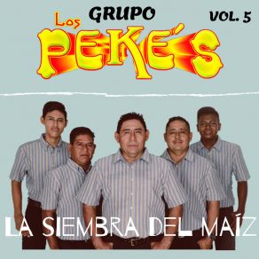 Download track No Te Arrepentirás Grupo Los Pekes