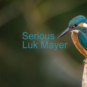 Download track Serious (Extended Version) Luk Mayer