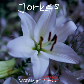 Download track Work La Pochette Jorkes