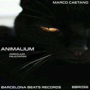 Download track Felicitatem Marco Caetano