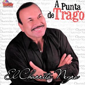 Download track Tragao, Pelao Y Llevao El Charrito Negro