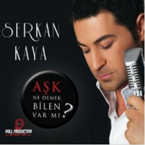 Download track Sevemiyorum (Remix)  Serkan Kaya