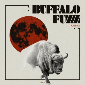 Download track Hole In My Heart Buffalo Fuzz