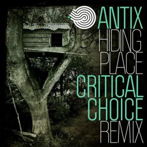 Download track Hiding Place (Critical Choice Remix) Antix