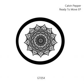 Download track Move (Original Mix) Calvin Pepper