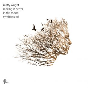 Download track Synthersized Matty Wright