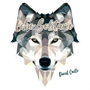 Download track No Lo VI Venir David Cuello