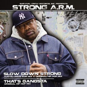 Download track Slow Down Strong Instrumental (Austin Leeds Edm Mix) Strong A. R. M