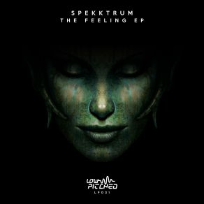 Download track The Feeling (Original Mix) Spekktrum