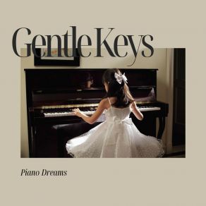 Download track Dreamy Keys The Dreams