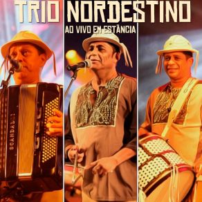 Download track A Camisa E O Botão (Ao Vivo) Trio Nordestino