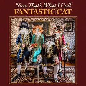 Download track Sometimes Your Heroes Let You Down Fantastic Cat