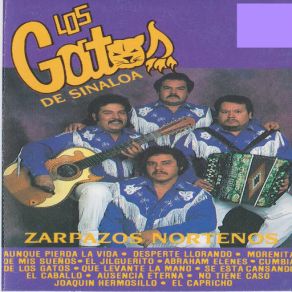 Download track Cumbia De Los Gatos Los Gatos De Sinaloa