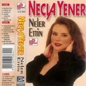 Download track Dokunsalar Ağlayacağım Necla Yener