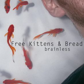 Download track Song Called Courage (Acoustic) Bread, Free Kittens