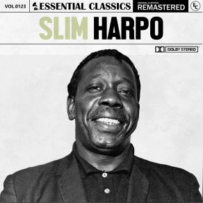 Download track Dream Girl (2023 Remastered) Slim Harpo