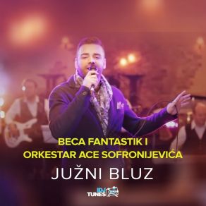 Download track Nemirna Si Kao Čigra Orkestar Ace Sofronijevića